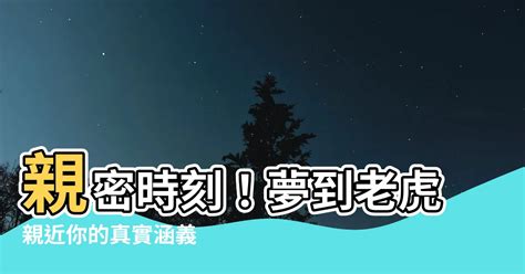 夢到老虎親近 心經圖像